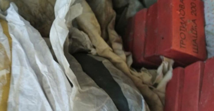 Хранила дома тротил в пакетах с мукой: пособнице террористов на Донетчине огласили приговор