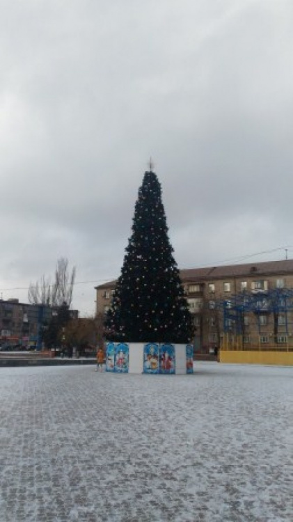В Кальмиусском районе уже установили новогоднюю елку