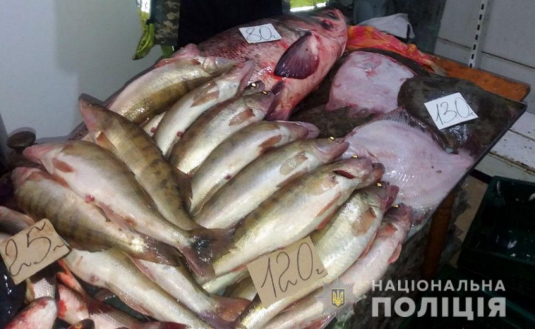 В Мариуполе на рынке пыталась незаконно продать 500 кг рыбы