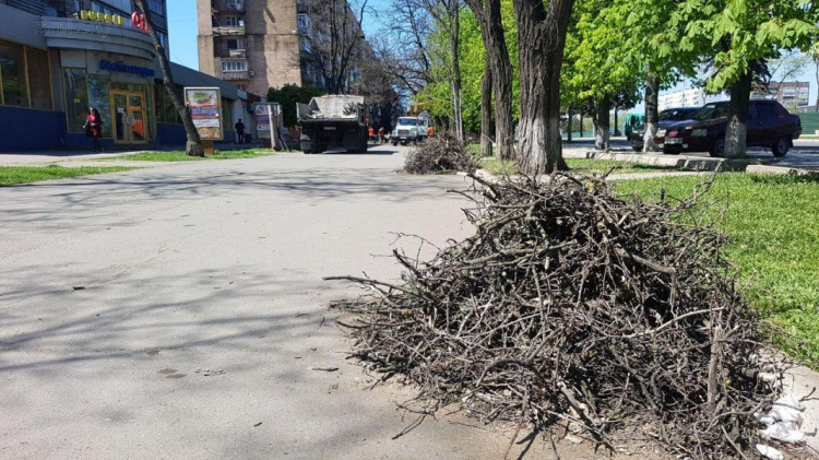 В опустевшем из-за карантина Мариуполе обрезают деревья и косят газоны (ФОТО)