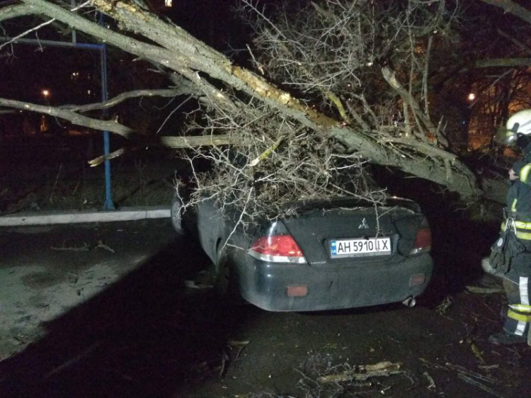 В Мариуполе устраняют последствия шторма: повалено около 60 деревьев (ФОТО+ВИДЕО)