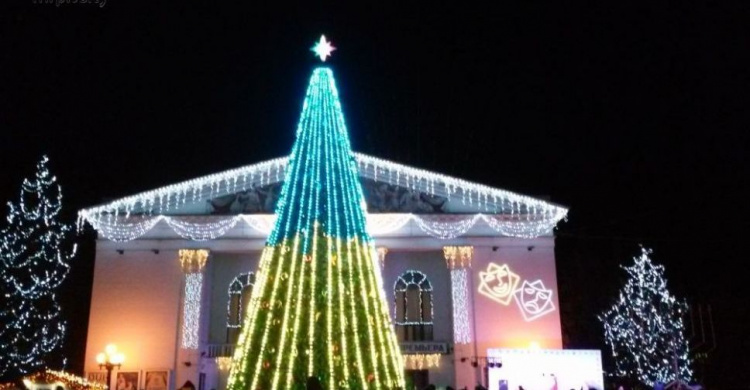 Мариупольская елка выборола четвертое место в голосовании «Мисс Елка-2017»
