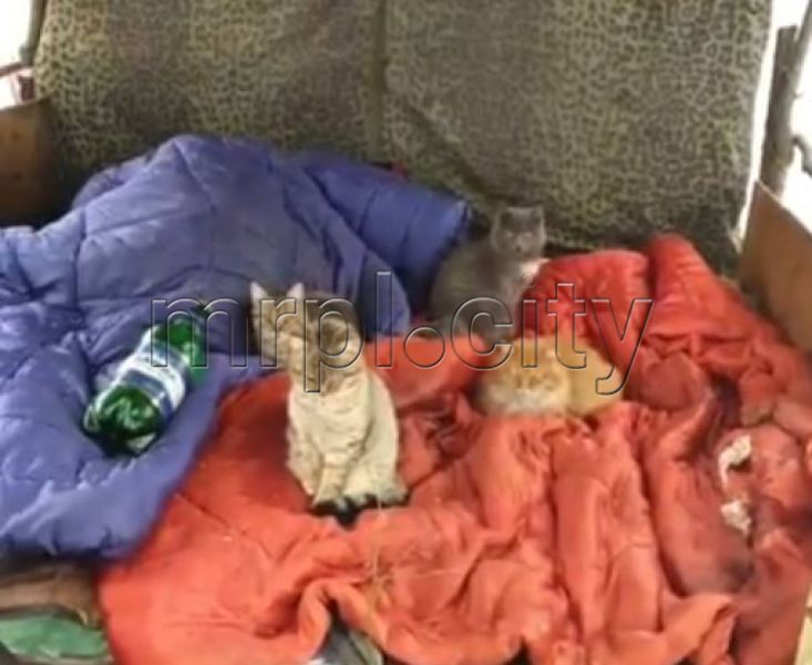 В мариупольском парке пара бездомных устроила шалаш: спасаются от мороза под одеялами и клеенкой
