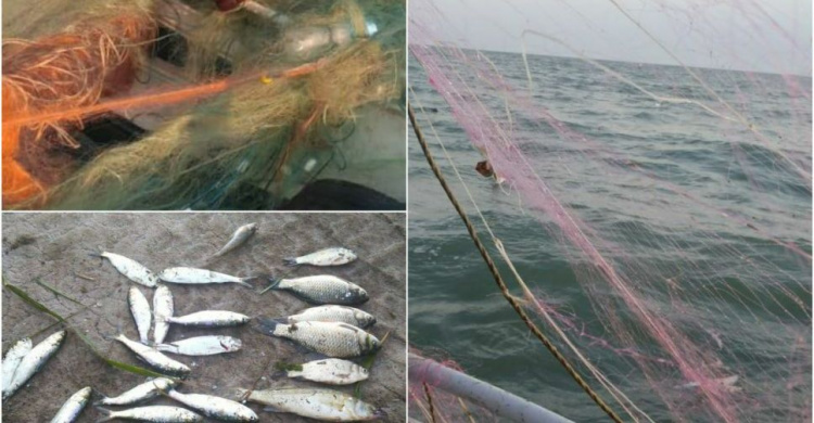 В Азовском море пограничники обнаружили сотни метров браконьерских сетей и ловушки (ФОТО)