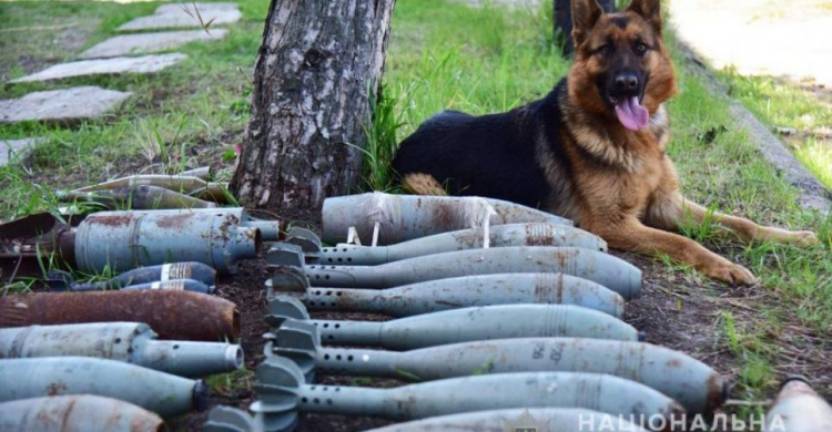 Вблизи Мариуполя на заброшенной базе отдыха нашли несколько десятков боеприпасов (ФОТО)