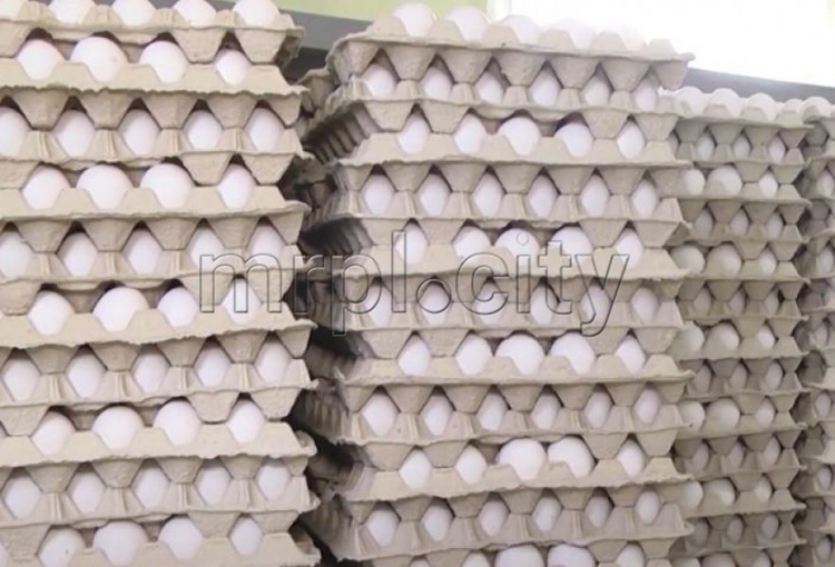 На птицефабрике, поставляющей яйца в Мариуполь, обнаружили «птичий грипп»?