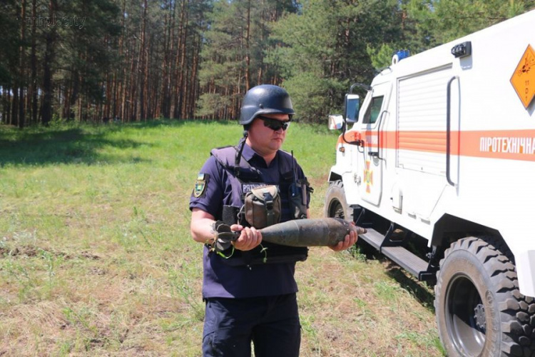 За неделю на Донбассе обезвредили 900 взрывоопасных предметов (ФОТО+ВИДЕО)
