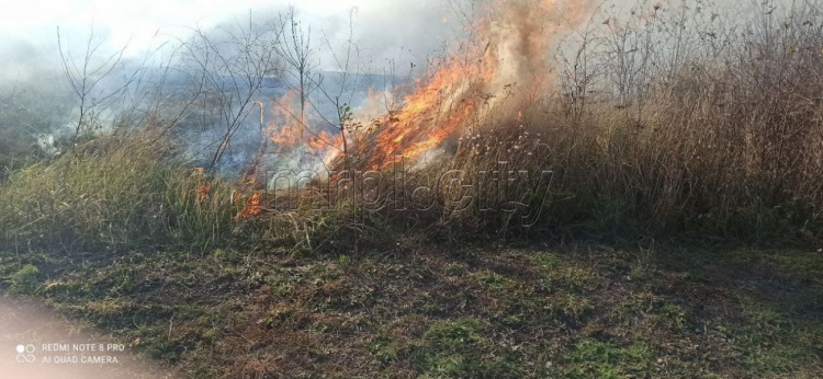 В Мариуполе горел сухостой: огонь мог перекинуться на жилые дома