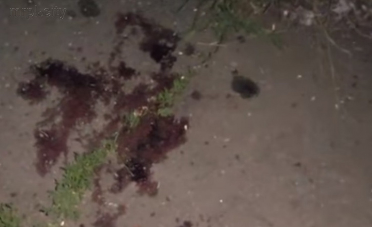 Появилось видео с места обстрела остановки в Авдеевке и интервью с пострадавшей женщиной (ВИДЕО)