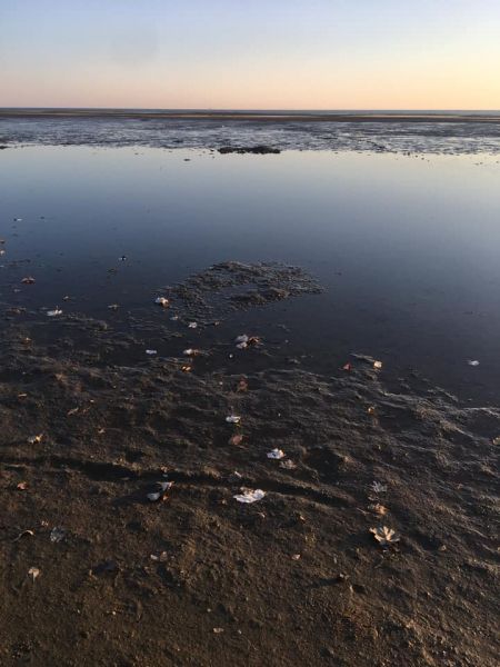 Мариупольцев поразило оголенное морское дно возле пляжа