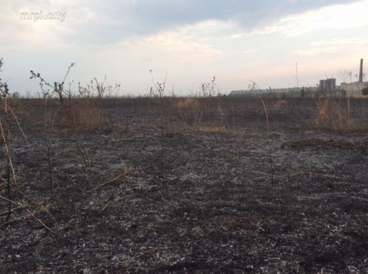 В Мариуполе дотла выгорела территория паркового комплекса на Восточном (ФОТО 180)