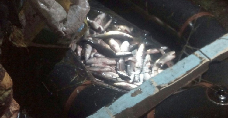 В Мариуполе браконьеры попались на вылове рыбы: Ущерб 100 тыс. грн. (ФОТО)