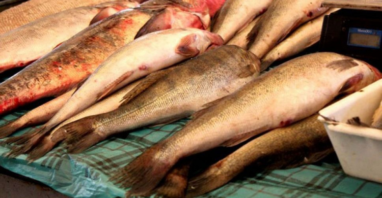 Полиция изъяла у стихийных торговцев более 100 кг незаконно выловленной рыбы