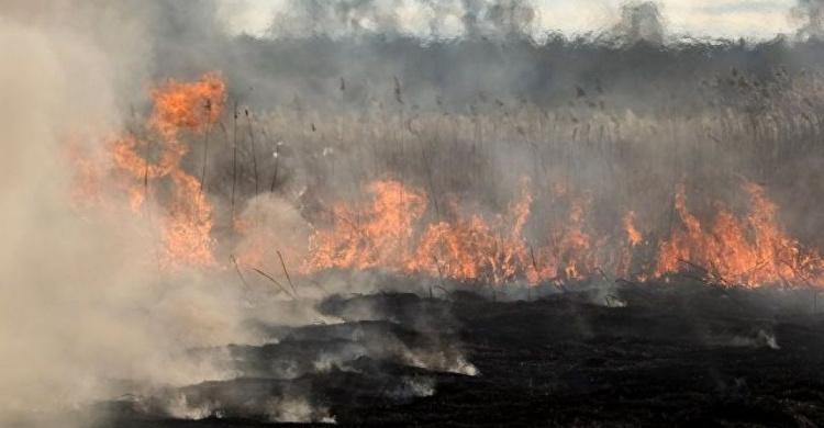 Неосторожность жителей Донетчины привела к возникновению 22 пожаров