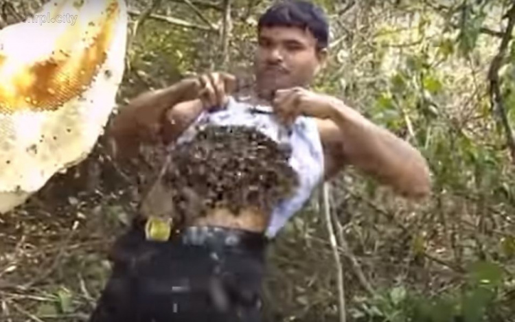 Ближе к телу: пасечник-экстремал горстями кладет пчел себе под майку (ФОТО+ВИДЕО)