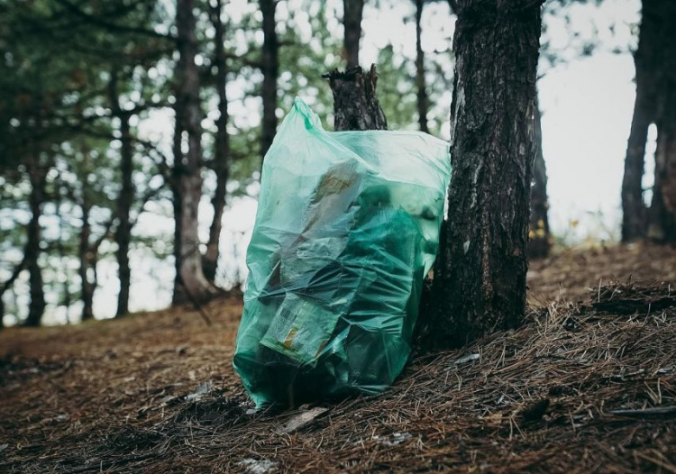 Отходы «захватили» лес: из популярного места отдыха мариупольцев вывезли 70 мешков мусора