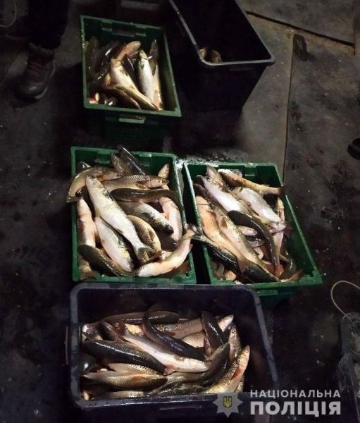 Мариуполец наловил в Кальмиусе рыбы на 150 тысяч гривен