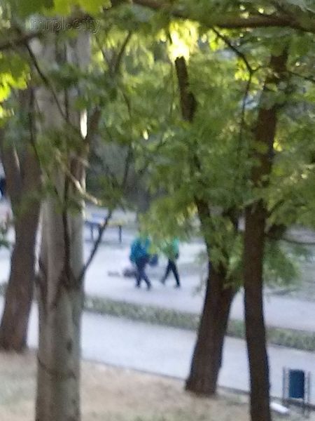 Старики-разбойники взяты с поличным в Мариуполе по «розовому» делу (ФОТО)