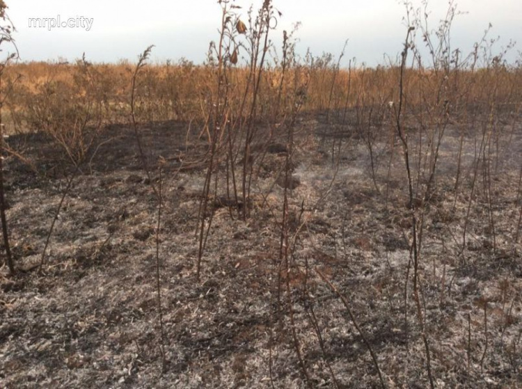 В Мариуполе дотла выгорела территория паркового комплекса на Восточном (ФОТО 180)