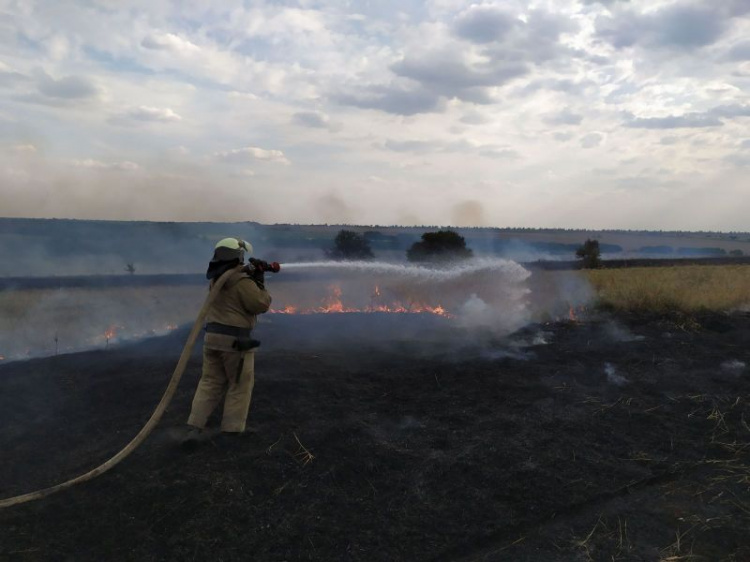 Пожаром в Донбассе охвачено более 20 тысяч гектаров: пять очагов уже локализованы
