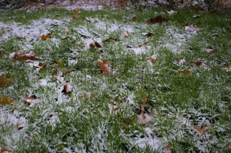 Зимняя сказка в ноябре: Мариуполь украсил первый снег (ФОТОРЕПОРТАЖ)