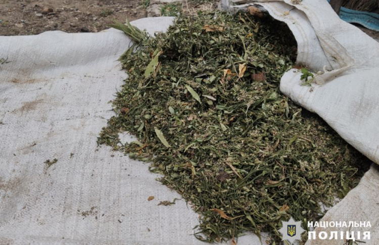 Мешок с каннабисом нашли у жителя Мариупольского района