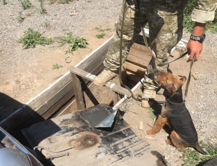 На КПВВ в Донбассе пес обнаружил схрон «травки», спрятанный в топливном баке (ФОТО)