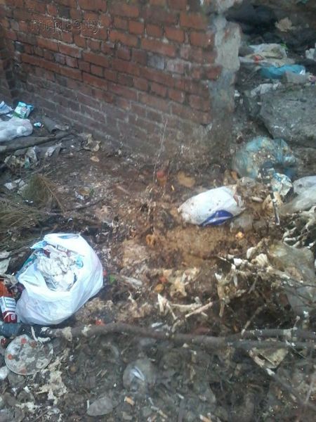 «Разрушенный, с крысами» - мариупольцы возмущены смрадным местом в центре города (ФОТОФАКТ)