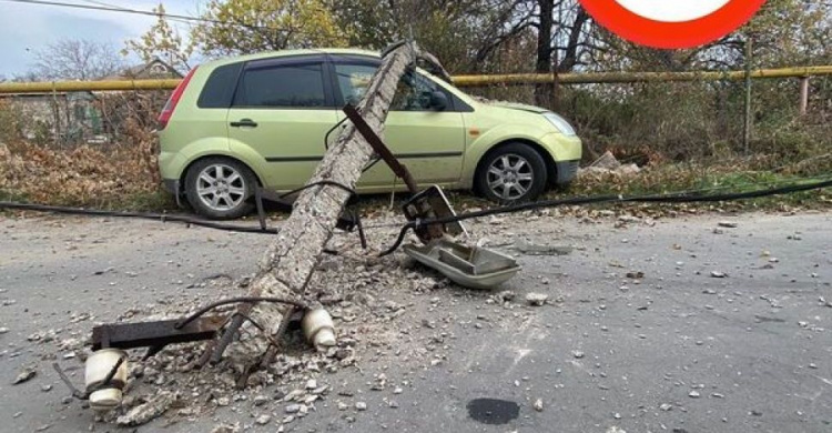 Мариупольский автомобилист рисковал жизнью ради спасения собаки