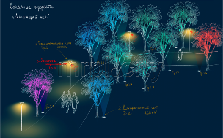 В Мариупольском парке появится «дышащий лес»