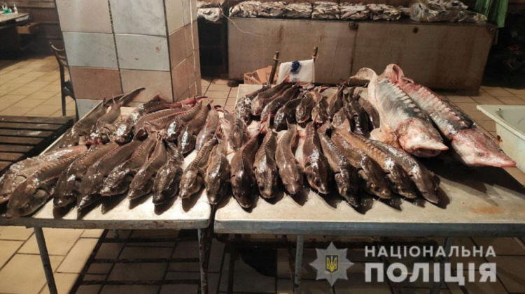 Под Мариуполем мужчина незаконно ловил рыбу и продавал в местном магазине