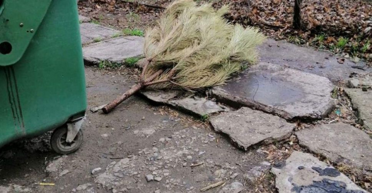 Пора выносить: в Мариуполе в декабре избавились от прошлогодней елки (ФОТО)