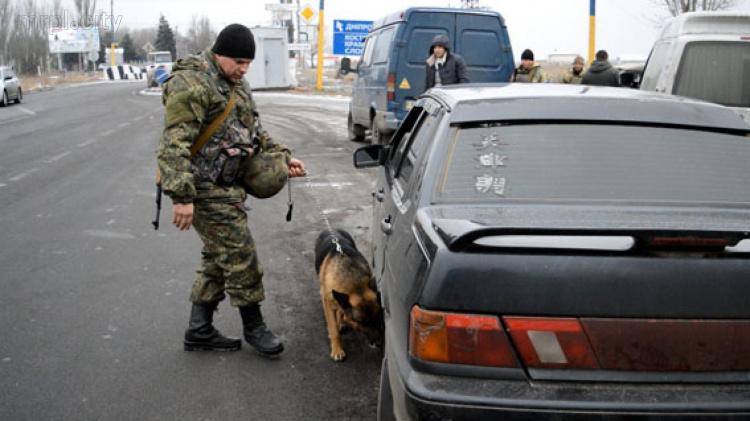 Хвостатые «копы» находят в Донбассе взрывчатку, наркотики и дерзких грабителей