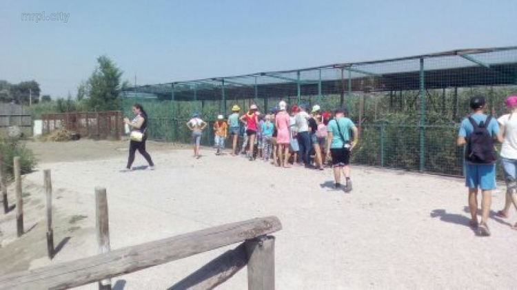 Торговый порт организовал бесплатные поездки детей в мариупольский зоопарк (ФОТОРЕПОРТАЖ)