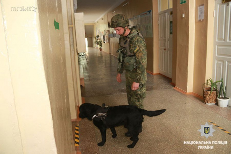 В Мариуполе срочно эвакуировали школу, раздался взрыв (ФОТО)