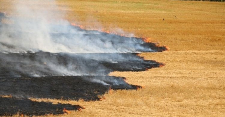 За время сельскохозяйственных работ пожары уничтожили 64 га зерна