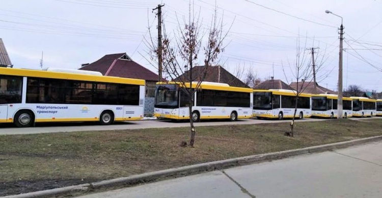 В Мариуполь прибыли белорусские автобусы (ФОТО)