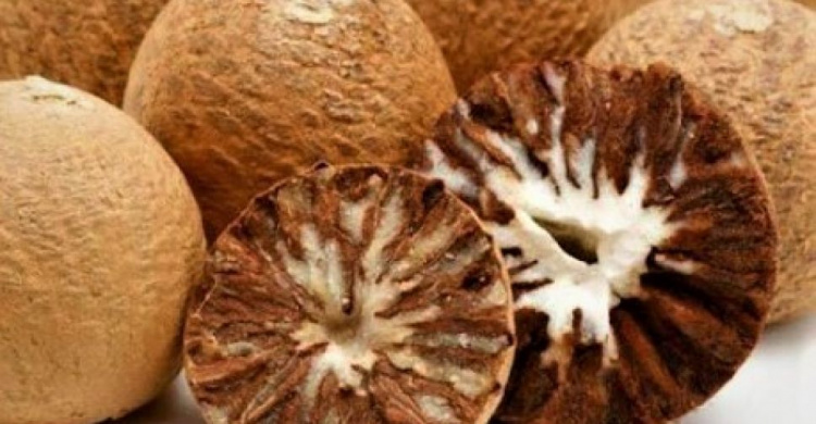 Мариупольцев предупреждают: в магазинах может продаваться опасный для жизни орех бетель