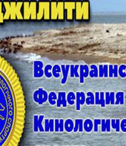 Финал Кубка Украины по Аджилити