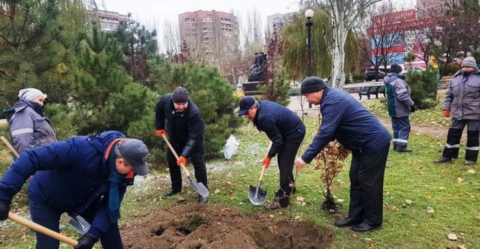 В Мариуполе чиновники высадили саженцы-наследники дуба Шевченко (ФОТО)