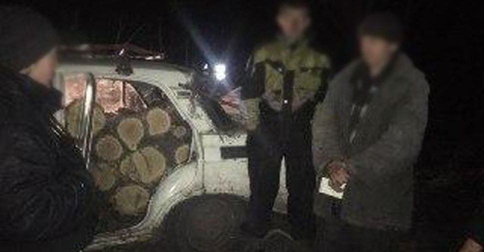 В Донецкой области лесорубы попались «на горячем» (ФОТО)