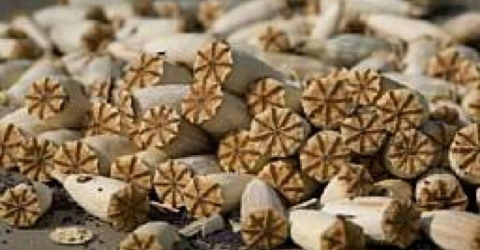 Мариупольских полицейских, торговавших маковой соломкой, хотят выпустить под залог