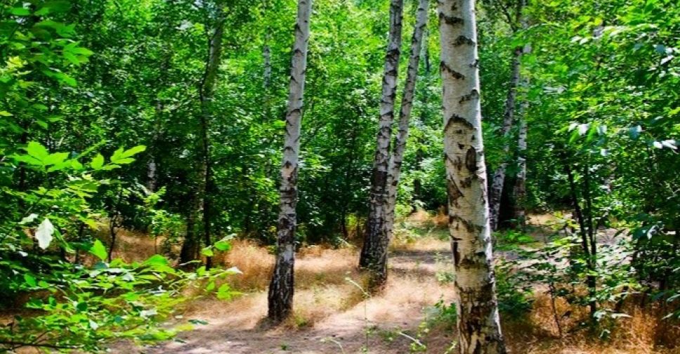 В лесу под Мариуполем с отдыхающих требовали деньги
