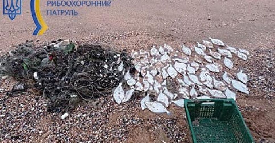 Браконьеры в Приазовье нанесли ущерб на 13 млн грн