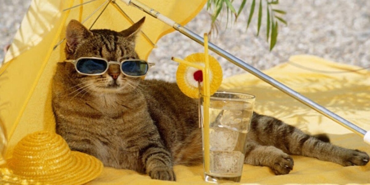 Від граду  - до сильної спеки: перший тиждень червня здивує українців погодними контрастами