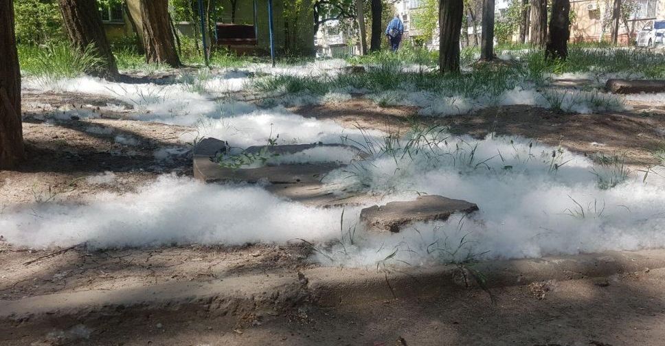 Мариуполь укрывают пушистые «сугробы» (ФОТО+ВИДЕО)