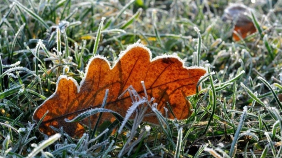 Більшість регіонів України накрили серйозні заморозки - карта