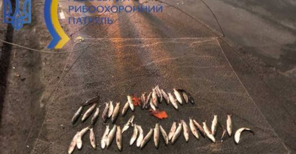 В Мариуполе браконьер «нарыбачил» почти на 76 тысяч гривен
