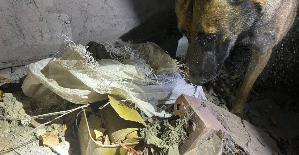 Схрон с патронами и гранатами обнаружили на Донетчине