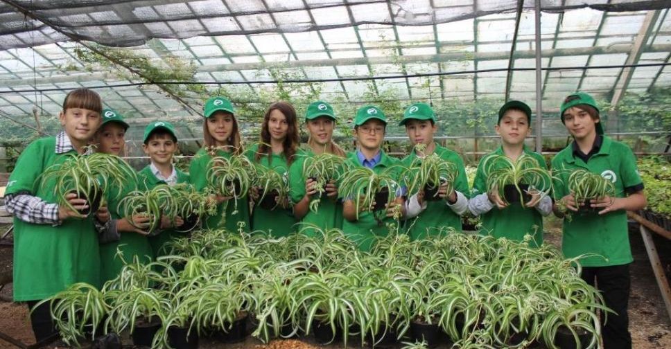 Ландшафтный дизайнер, блогер, флорист: мариупольские школьники выбирают профессию (ФОТО)